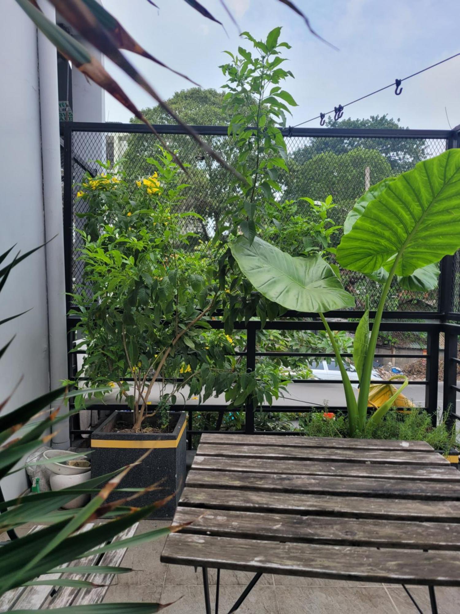 Agk House - Homestay - 406 Xo Viet Nghe Tinh, P25, Binh Thanh, Gan Nga 4 Hang Xanh Ho Chi Minh City Exterior photo